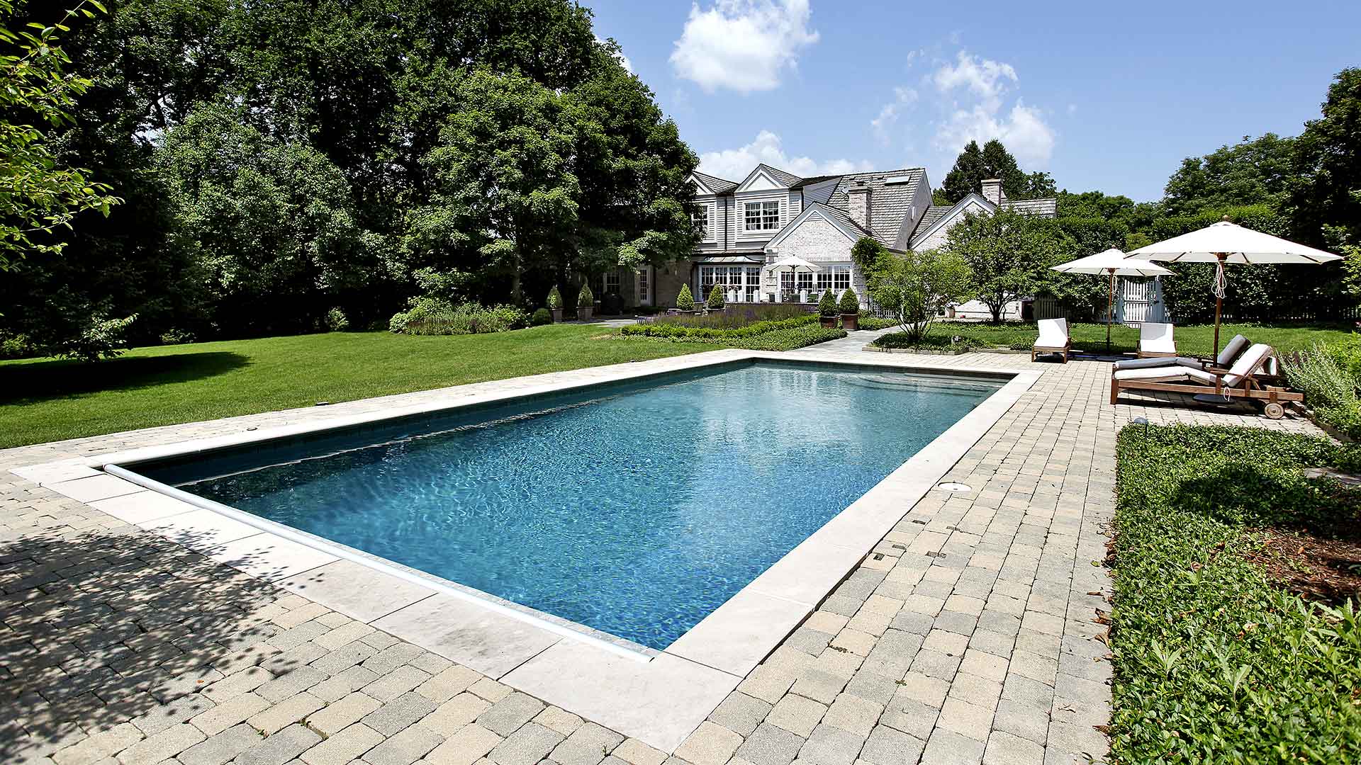 In ground pool back yard