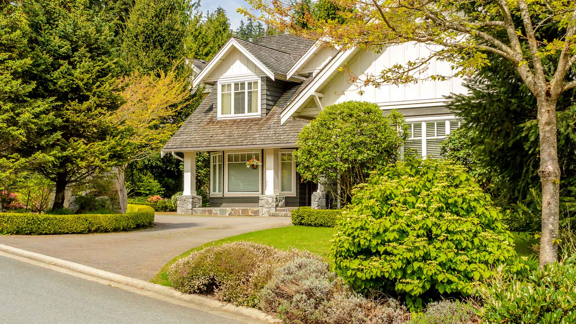 Landscape front yard driveway