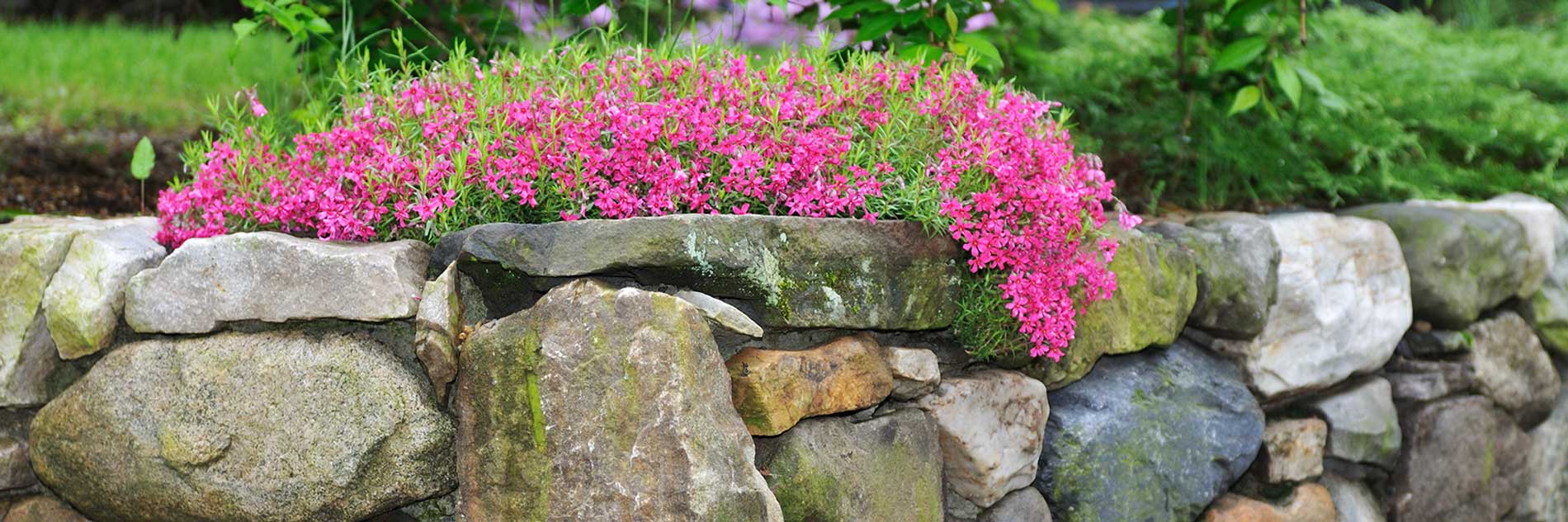 Stone wall and walkway