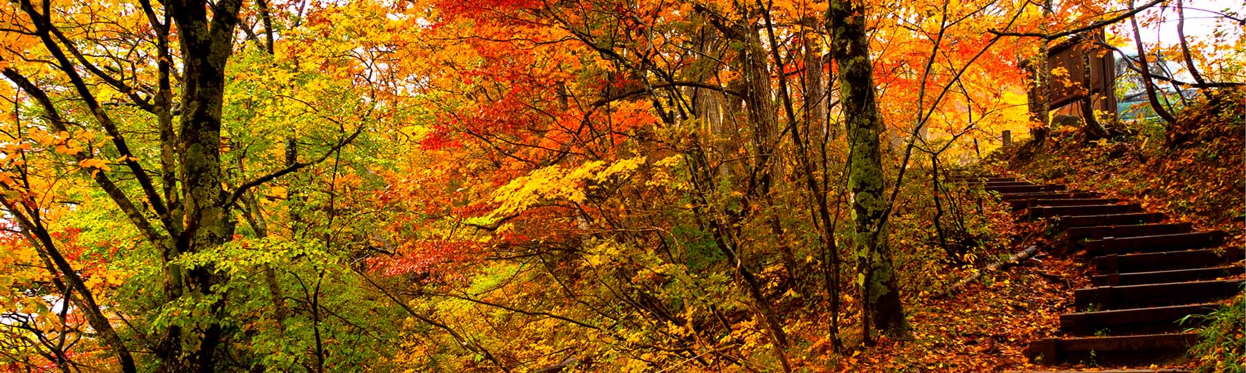Autumn scene with staircase