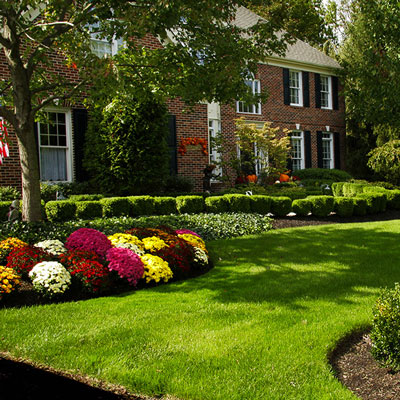 Brick house with flowers